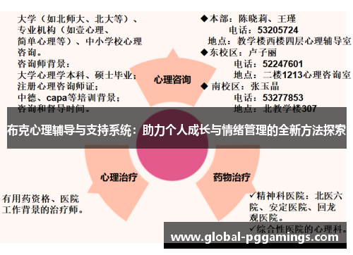 布克心理辅导与支持系统：助力个人成长与情绪管理的全新方法探索