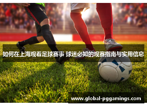 如何在上海观看足球赛事 球迷必知的观赛指南与实用信息