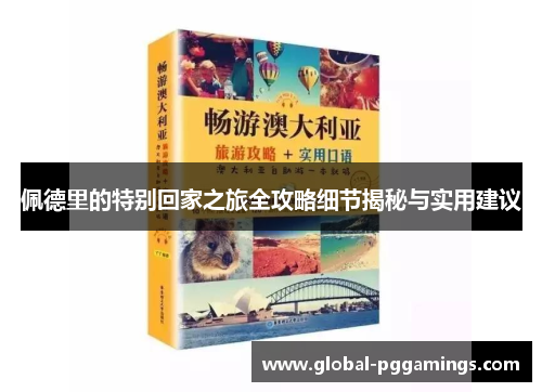 佩德里的特别回家之旅全攻略细节揭秘与实用建议