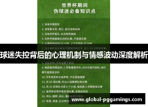 球迷失控背后的心理机制与情感波动深度解析