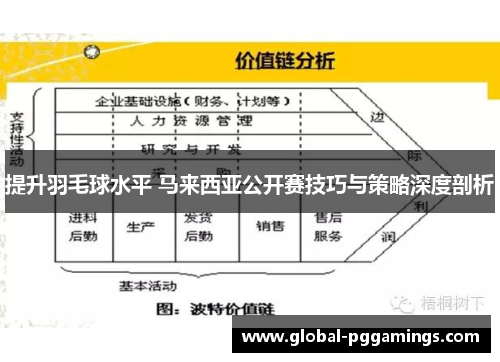 提升羽毛球水平 马来西亚公开赛技巧与策略深度剖析