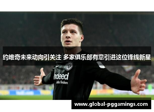 约维奇未来动向引关注 多家俱乐部有意引进这位锋线新星