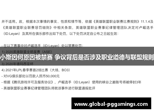 小斯因何原因被禁赛 争议背后是否涉及职业道德与联盟规则