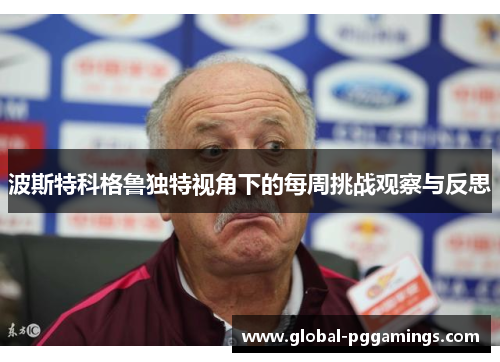 波斯特科格鲁独特视角下的每周挑战观察与反思